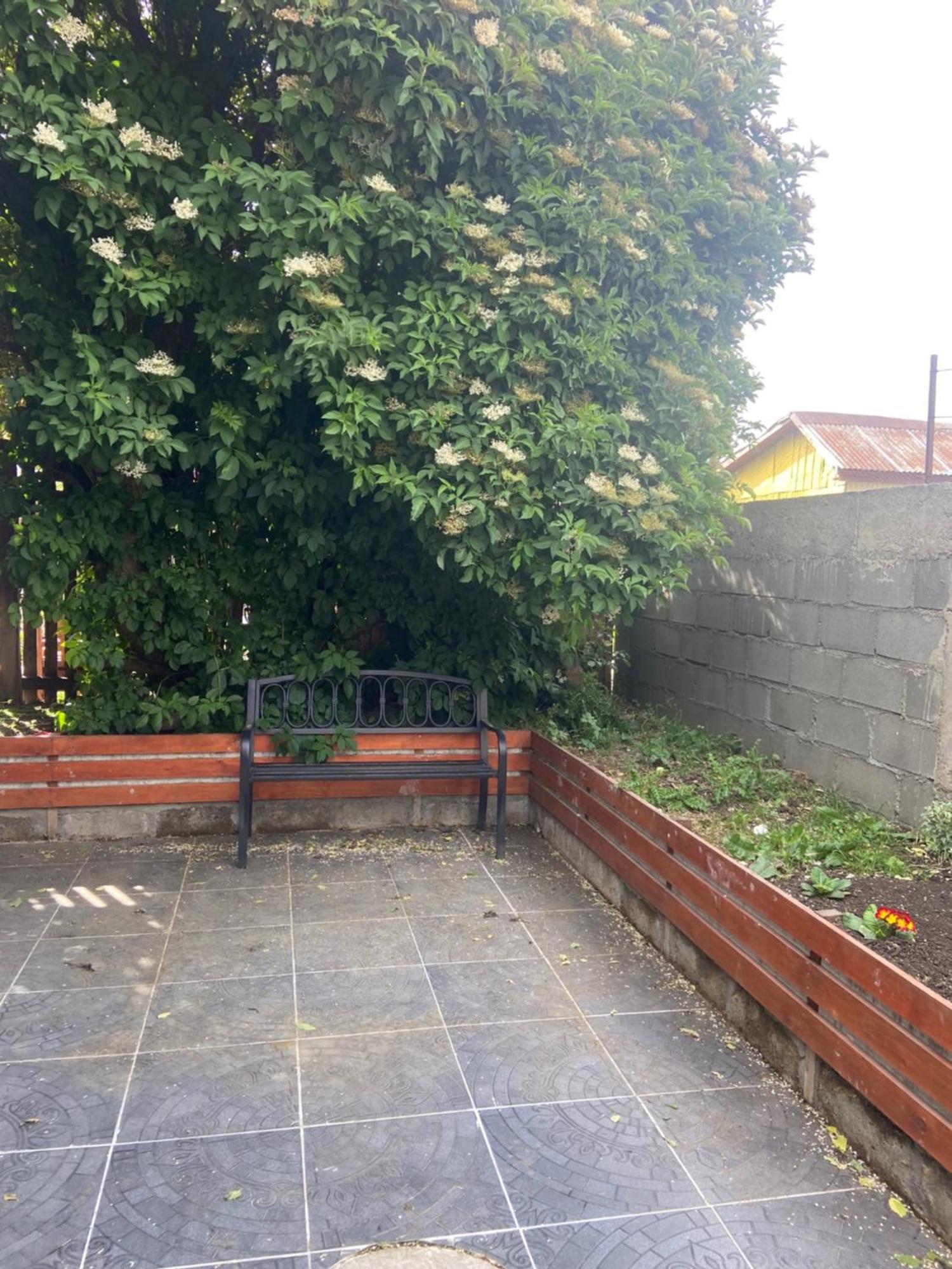Cabanas Bosque Austral Punta Arenas Exterior photo
